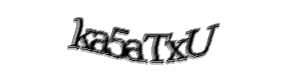 Security check image, please type the characters shown